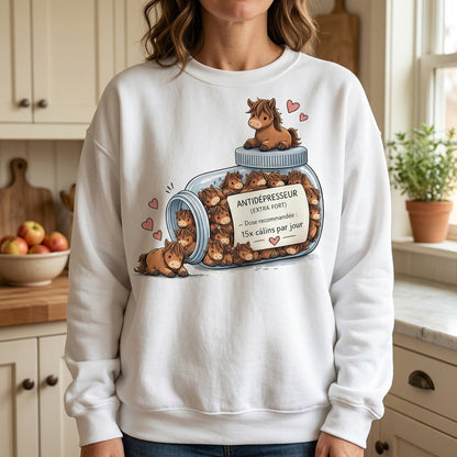 T-Shirt Cheval Antidépresseur Humoristique – Cadeau Amoureux des Chevaux
