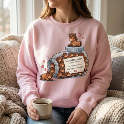 Lustiges Pferde Antidepressivum Shirt – Süßes Pferdeliebhaber Geschenk